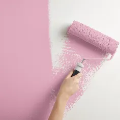 Tinta Interiores Rosa Choque 2,5 L Evalux